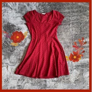 Deep Red Fit&Flare Skater Dress w Chevron Detail